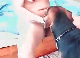 Doggy licks her wide-opened shaved hole