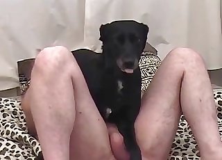 Black dog fucked by monstrous bald zoofil