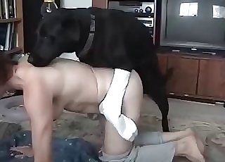 Black dog boinked her wet cock-squeezing honeypot