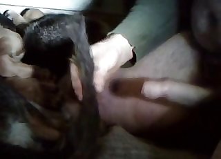 Leisurely sticking my cock in doggy asshole