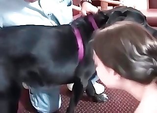 Dog likes getting its jizz-shotgun sucked