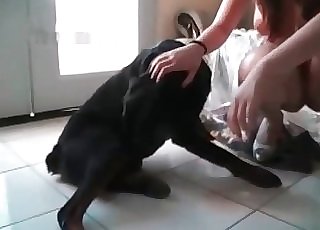 Crazy bestial sex with a good trained doggy