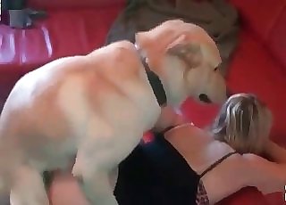 Ash-blonde licked by her doggy