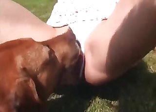 Nice dog licks her snatch with pleasure