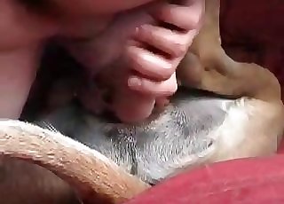Dude is toying with his doggy's tight anus