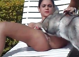 Shaved pussy licked by a mutt