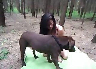 Doggo gets passionately fucked by a great slut