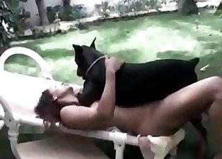 Dominant gigantic Doberman is on top of a horny zoophiliac