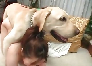 Porn dog woman dog