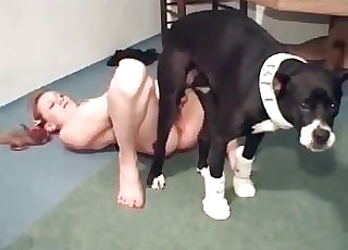 Incredible hound is totally drilling this wet cooter for fun