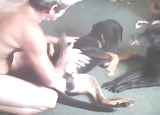 Sexy black dogs in perverted zoophilia XXX