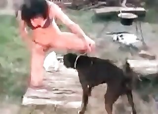 Tiny black doggo is having an incredible animal sex sesh