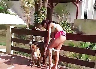 Juicy and fleshy pussy slurped by two dogs