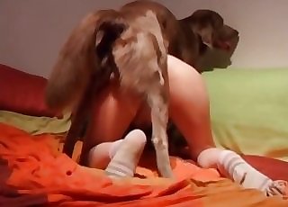 Sexy culo nicely fucked by amazing doggy