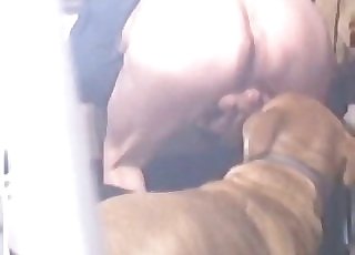 Rear end sniffing and fucking his round ass