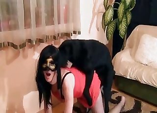 Black dog fucks an inexperienced with a hot body