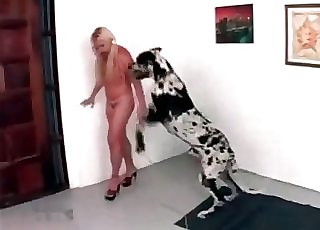 This dog is gonna fuck her real hard