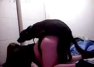 Sexy ebony dog plumbs her wet hole