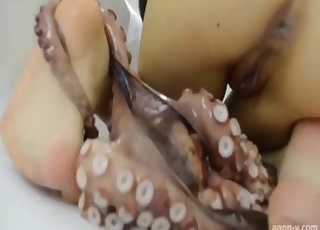 Octopus and a steaming female love hardcore bestiality