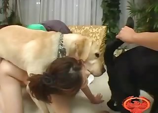 Chinese angel is enjoying nasty dog bestiality XXX