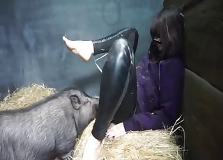 Awesome pig fucked her cunt in doggy style
