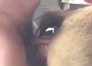 Good-looking being will get fucked by a toff