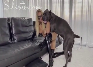 Vigorous their way pussy on a black dog's HARD cock