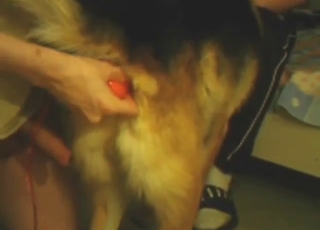 Orgasmic assfuck toy movie with a slutty dog