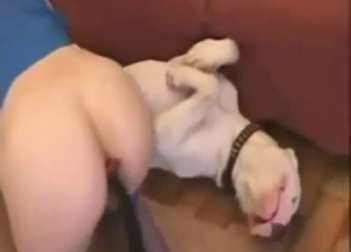 Real zoophile porn with a tow-haired who sucks squarely