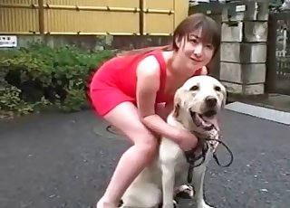 Japanese chick teasing her sexy dog - 犬のポルノチューブ