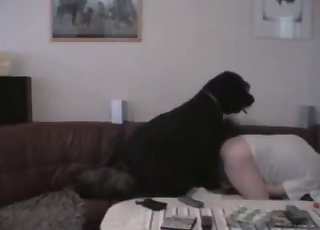 Horny ebony dog is drilling the holes a slutty woman - Dog Porn Tube