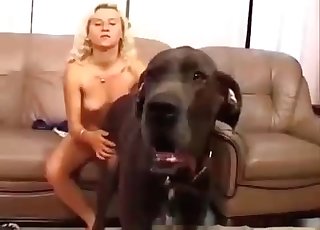 Cute black dog and amazing blonde having sex - 犬のポルノチューブ