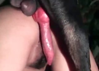 Black dog nicely pounds her tight wet cunt - Tubo porno perro