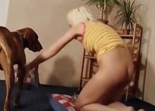 Xxx dog sex bestiality action - 犬のポルノチューブ 