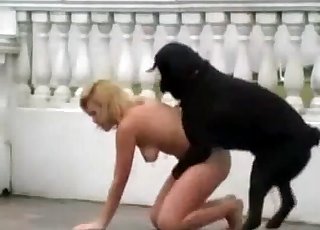 Outdoor sex with a uber-cute black dog - 犬のポルノチューブ