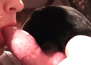 Doggy is having an astounding oral act - Hundeporno Tube 