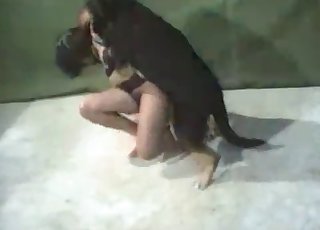 Rear end fashion bestiality sex with a German dog - Tubo porno perro-> 