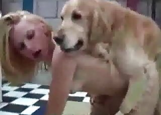 Dogs fucking fast and wet - Dog Porn Tube
